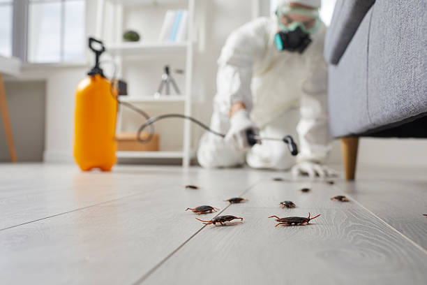 Commercial Kitchen Cockroach Control in Lake Park